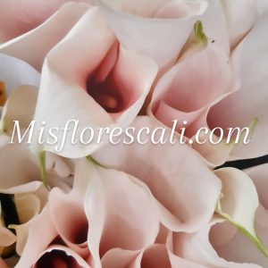cartucho blanco | Mis Flores Cali