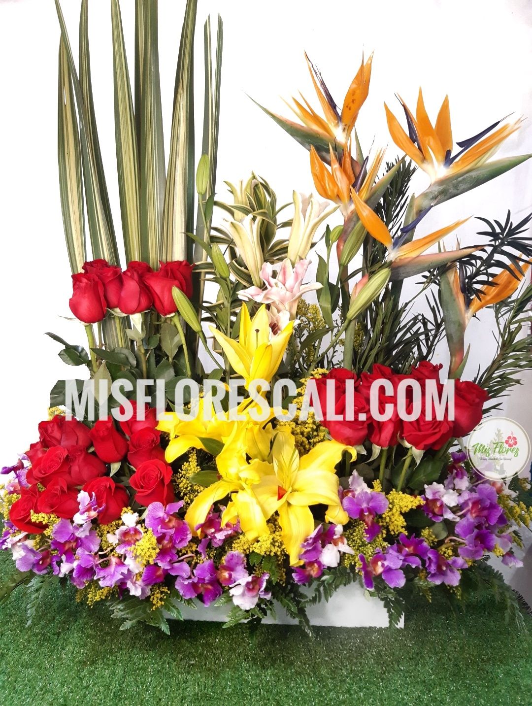 Arreglo Floral Amistad Ref #240 | Mis Flores Cali