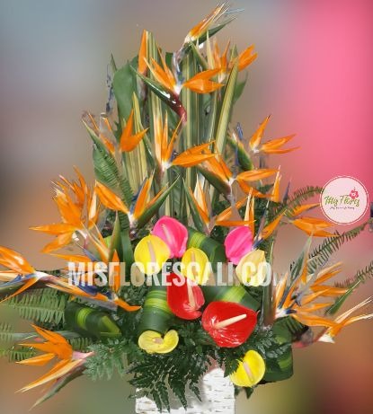 Arreglo Floral Anturio Ref #432 | Mis Flores Cali